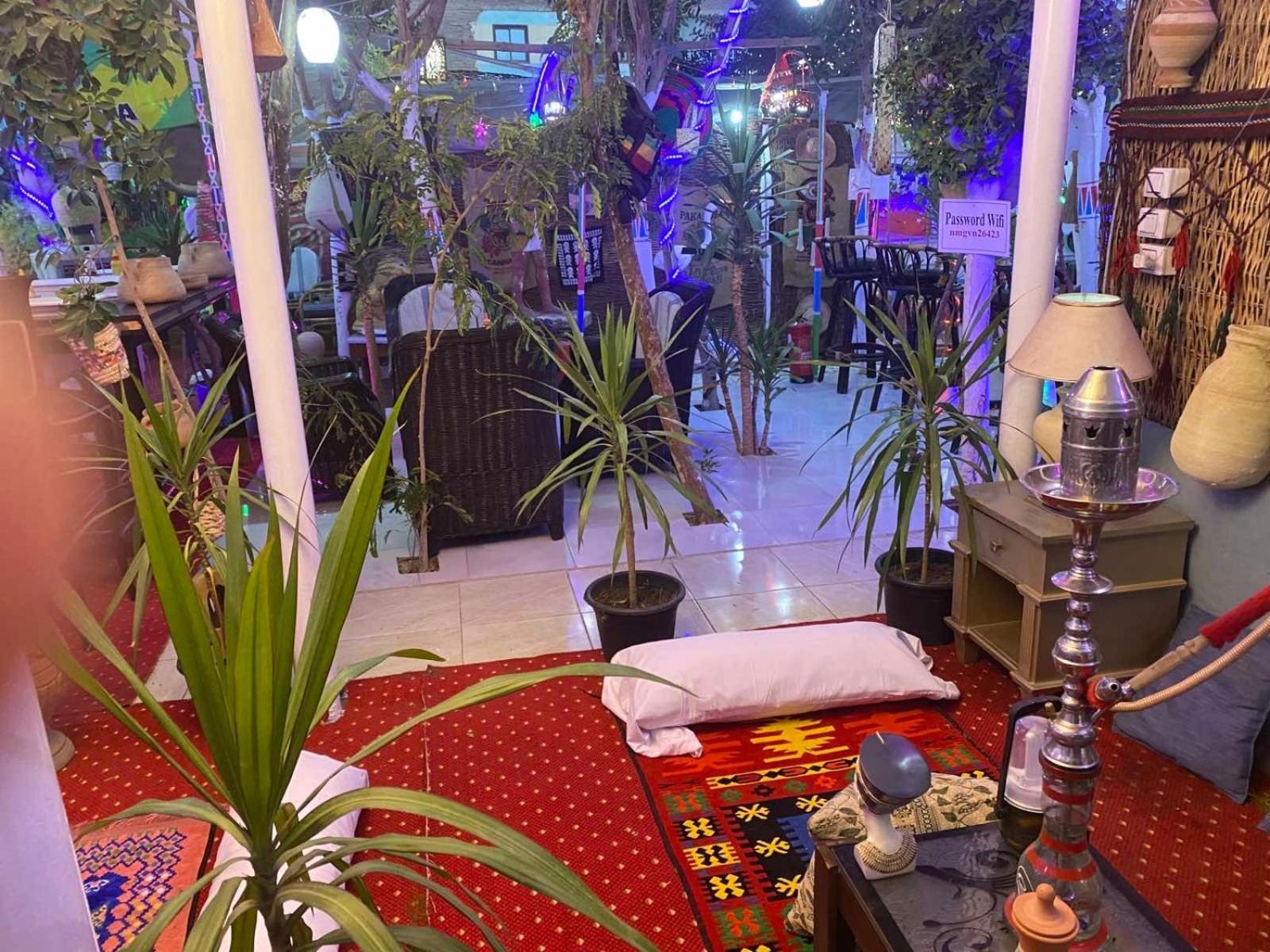 Peace Garden Hostel & Camp Луксор Экстерьер фото