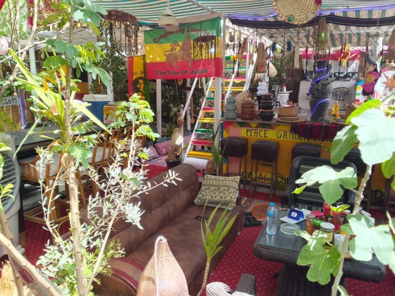 Peace Garden Hostel & Camp Луксор Экстерьер фото