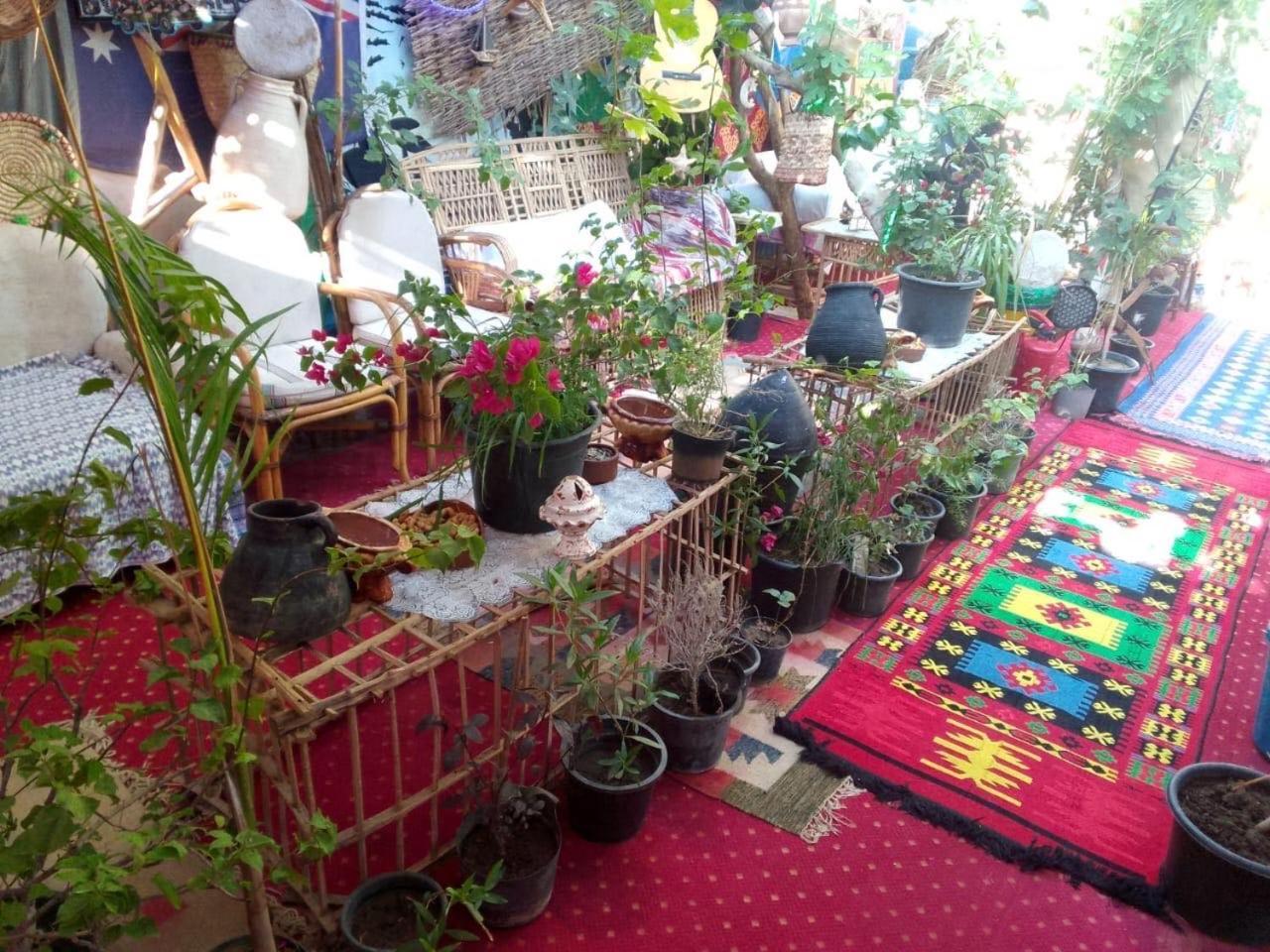 Peace Garden Hostel & Camp Луксор Экстерьер фото